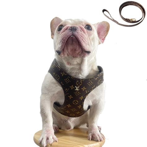 louis vuitton harness for dogs.